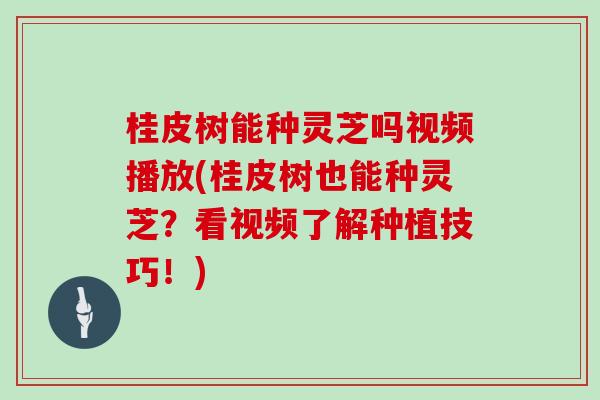 桂皮树能种灵芝吗视频播放(桂皮树也能种灵芝?看视频了解种植技巧!) 桂皮树能种灵芝吗视频播放(桂皮树也能种灵芝?看视频了解种植技巧!)