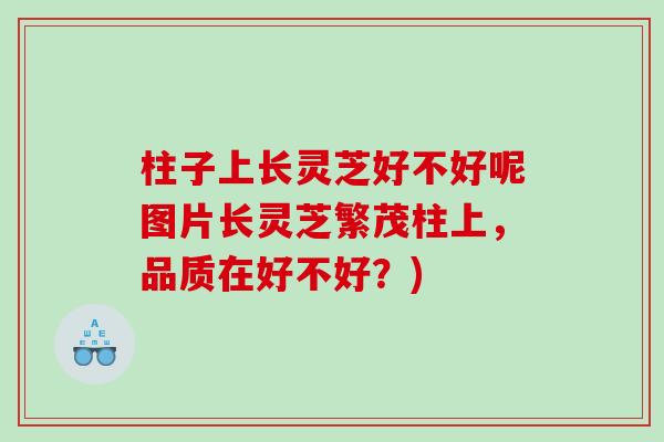柱子上长灵芝好不好呢图片长灵芝繁茂柱上，品质在好不好？)