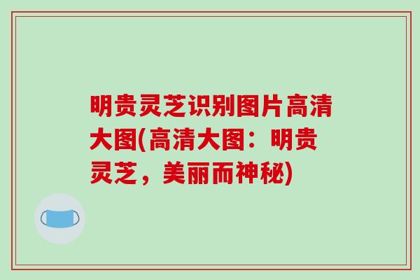 明贵灵芝识别图片高清大图(高清大图：明贵灵芝，美丽而神秘)