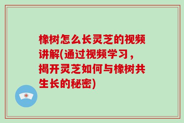 橡树怎么长灵芝的视频讲解(通过视频学习，揭开灵芝如何与橡树共生长的秘密)
