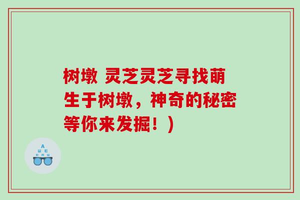 树墩 灵芝灵芝寻找萌生于树墩，神奇的秘密等你来发掘！)
