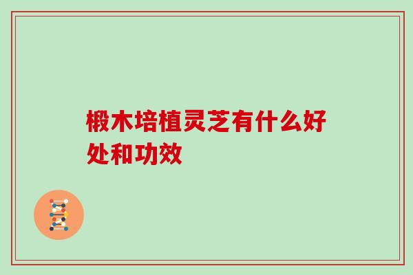 椴木培植灵芝有什么好处和功效