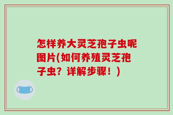怎样养大灵芝孢子虫呢图片(如何养殖灵芝孢子虫？详解步骤！)