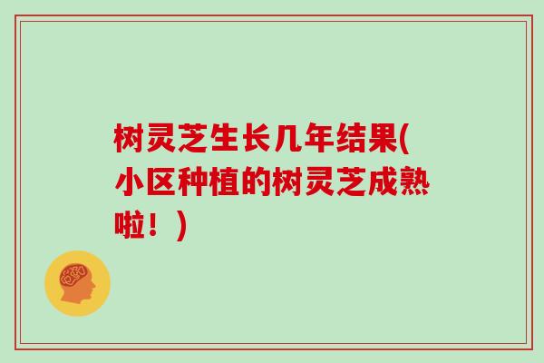 树灵芝生长几年结果(小区种植的树灵芝成熟啦!) 树灵芝生长几年结果(小区种植的树灵芝成熟啦!)