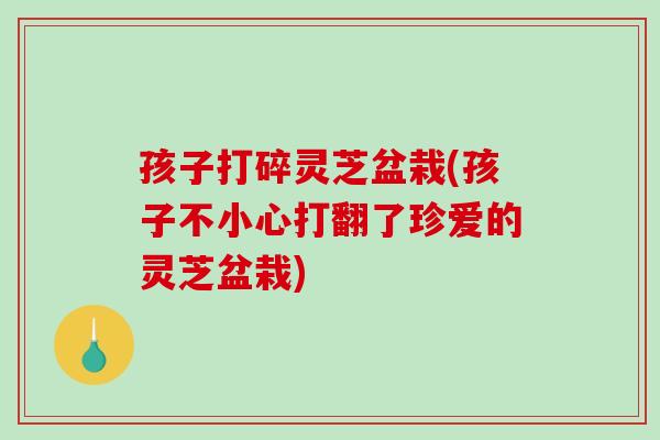孩子打碎灵芝盆栽(孩子不小心打翻了珍爱的灵芝盆栽)