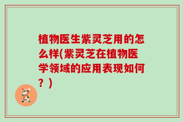 植物医生紫灵芝用的怎么样(紫灵芝在植物医学领域的应用表现如何?) 植物医生紫灵芝用的怎么样(紫灵芝在植物医学领域的应用表现如何?)