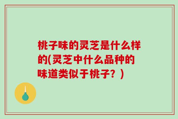桃子味的灵芝是什么样的(灵芝中什么品种的味道类似于桃子?) 桃子味的灵芝是什么样的(灵芝中什么品种的味道类似于桃子?)