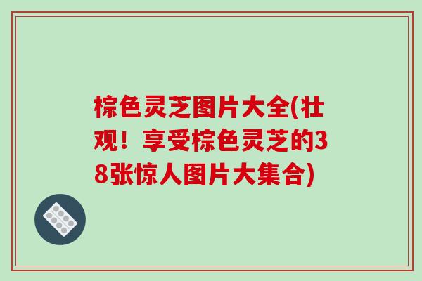 棕色灵芝图片大全(壮观!享受棕色灵芝的38张惊人图片大集合) 棕色灵芝图片大全(壮观!享受棕色灵芝的38张惊人图片大集合)