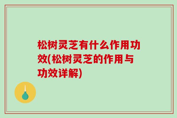 松树灵芝有什么作用功效(松树灵芝的作用与功效详解)