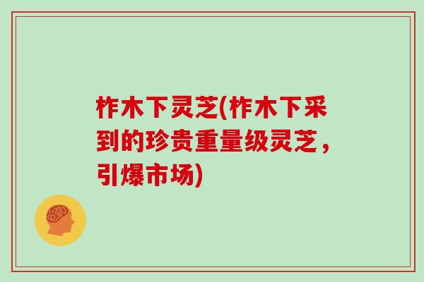 柞木下灵芝(柞木下采到的珍贵重量级灵芝，引爆市场)