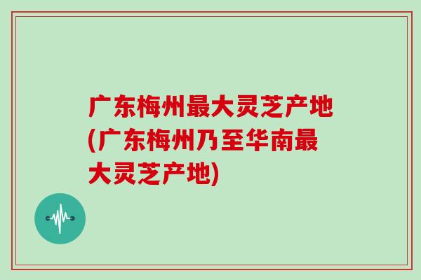 广东梅州大灵芝产地(广东梅州乃至华南大灵芝产地) 广东梅州大灵芝产地(广东梅州乃至华南大灵芝产地)