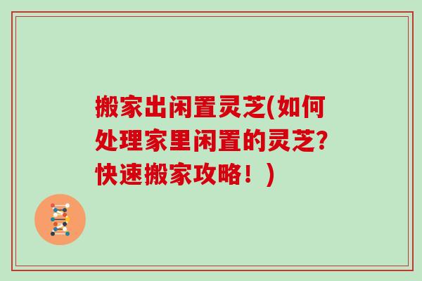 搬家出闲置灵芝(如何处理家里闲置的灵芝?快速搬家攻略!) 搬家出闲置灵芝(如何处理家里闲置的灵芝?快速搬家攻略!)