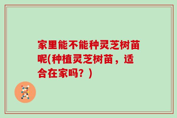 家里能不能种灵芝树苗呢(种植灵芝树苗,适合在家吗?) 家里能不能种灵芝树苗呢(种植灵芝树苗,适合在家吗?)