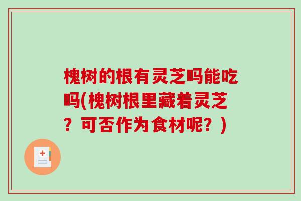 槐树的根有灵芝吗能吃吗(槐树根里藏着灵芝?可否作为食材呢?) 槐树的根有灵芝吗能吃吗(槐树根里藏着灵芝?可否作为食材呢?)