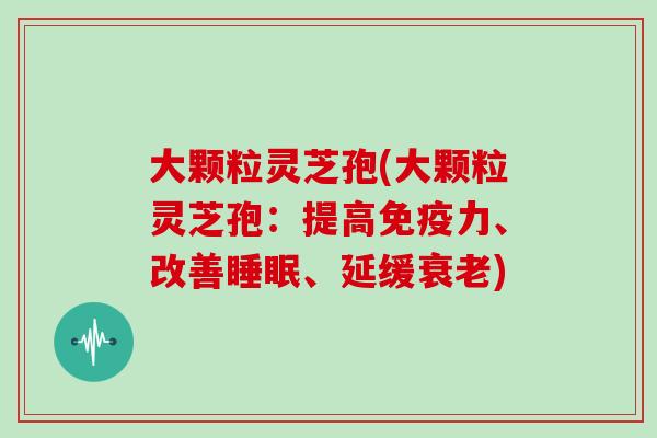 大颗粒灵芝孢(大颗粒灵芝孢：提高免疫力、改善、延缓)