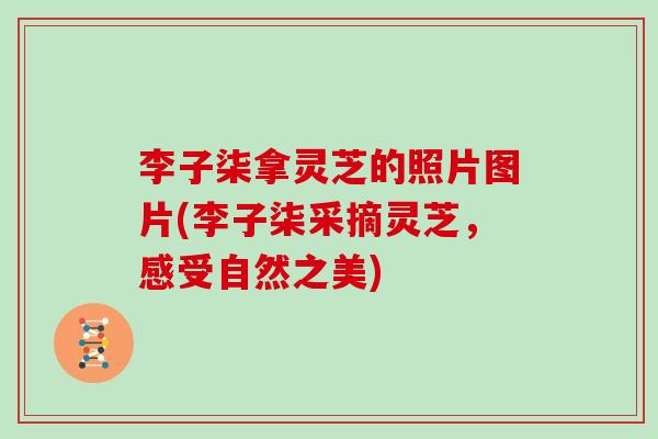 李子柒拿灵芝的照片图片(李子柒采摘灵芝,感受自然之美) 李子柒拿灵芝的照片图片(李子柒采摘灵芝,感受自然之美)