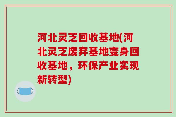 河北灵芝回收基地(河北灵芝废弃基地变身回收基地,环保产业实现新转型) 河北灵芝回收基地(河北灵芝废弃基地变身回收基地,环保产业实现新转型)