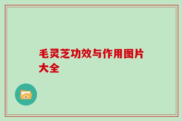 毛灵芝功效与作用图片大全 毛灵芝功效与作用图片大全