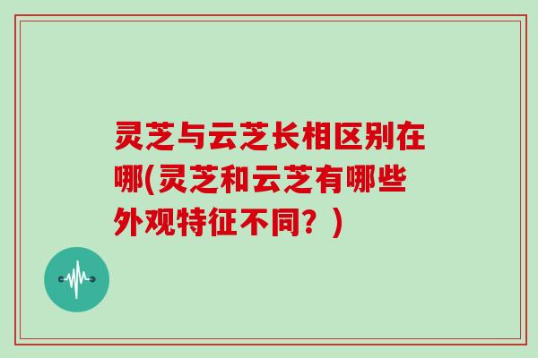 灵芝与云芝长相区别在哪(灵芝和云芝有哪些外观特征不同?) 灵芝与云芝长相区别在哪(灵芝和云芝有哪些外观特征不同?)