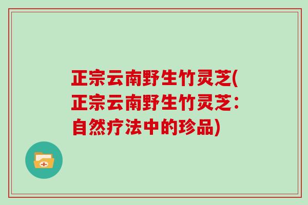 正宗云南野生竹灵芝(正宗云南野生竹灵芝：自然疗法中的珍品)