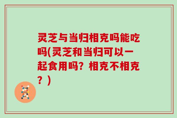灵芝与当归相克吗能吃吗(灵芝和当归可以一起食用吗?相克不相克?) 灵芝与当归相克吗能吃吗(灵芝和当归可以一起食用吗?相克不相克?)