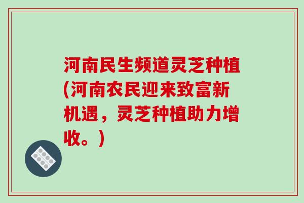 河南民生频道灵芝种植(河南农民迎来致富新机遇,灵芝种植助力增收。) 河南民生频道灵芝种植(河南农民迎来致富新机遇,灵芝种植助力增收。)