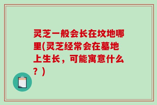 灵芝一般会长在坟地哪里(灵芝经常会在墓地上生长，可能寓意什么？)