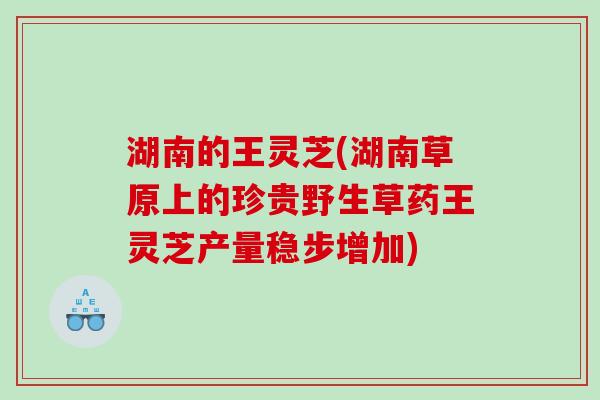 湖南的王灵芝(湖南草原上的珍贵野生草药王灵芝产量稳步增加) 湖南的王灵芝(湖南草原上的珍贵野生草药王灵芝产量稳步增加)