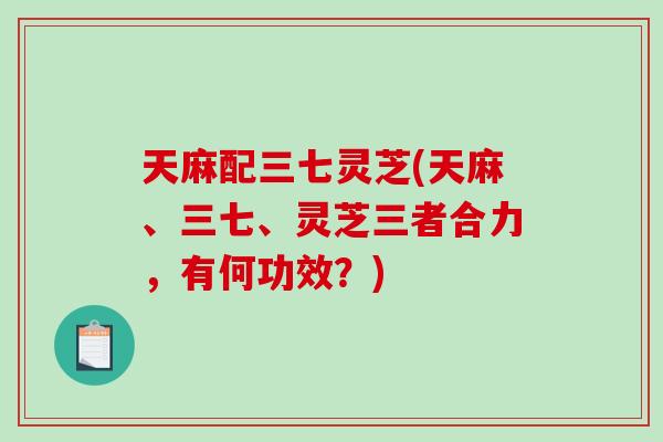 天麻配三七灵芝(天麻、三七、灵芝三者合力,有何功效?) 天麻配三七灵芝(天麻、三七、灵芝三者合力,有何功效?)