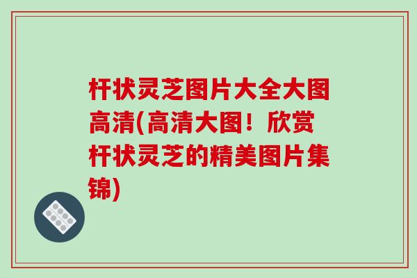 杆状灵芝图片大全大图高清(高清大图！欣赏杆状灵芝的精美图片集锦)