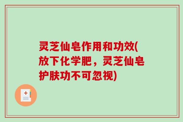 灵芝仙皂作用和功效(放下化学肥，灵芝仙皂护肤功不可忽视)