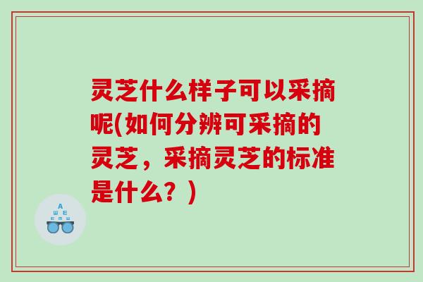 灵芝什么样子可以采摘呢(如何分辨可采摘的灵芝,采摘灵芝的标准是什么?) 灵芝什么样子可以采摘呢(如何分辨可采摘的灵芝,采摘灵芝的标准是什么?)