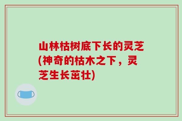 山林枯树底下长的灵芝(神奇的枯木之下,灵芝生长茁壮) 山林枯树底下长的灵芝(神奇的枯木之下,灵芝生长茁壮)