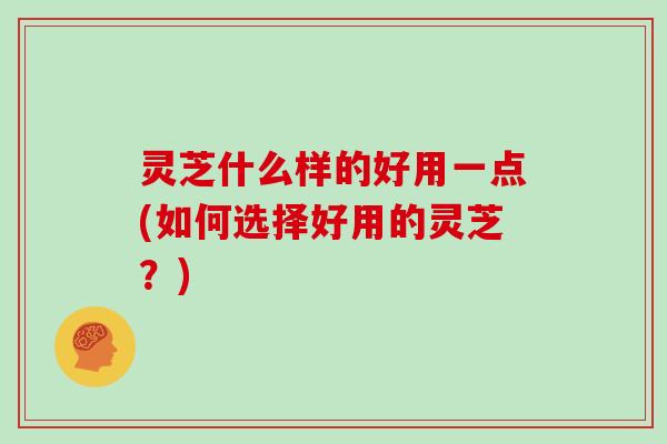灵芝什么样的好用一点(如何选择好用的灵芝?) 灵芝什么样的好用一点(如何选择好用的灵芝?)