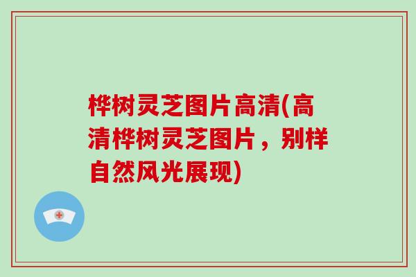 桦树灵芝图片高清(高清桦树灵芝图片,别样自然风光展现) 桦树灵芝图片高清(高清桦树灵芝图片,别样自然风光展现)