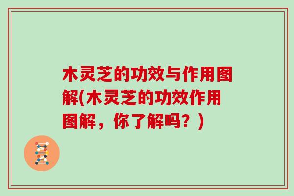 木灵芝的功效与作用图解(木灵芝的功效作用图解,你了解吗?) 木灵芝的功效与作用图解(木灵芝的功效作用图解,你了解吗?)