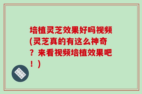 培植灵芝效果好吗视频(灵芝真的有这么神奇?来看视频培植效果吧!) 培植灵芝效果好吗视频(灵芝真的有这么神奇?来看视频培植效果吧!)