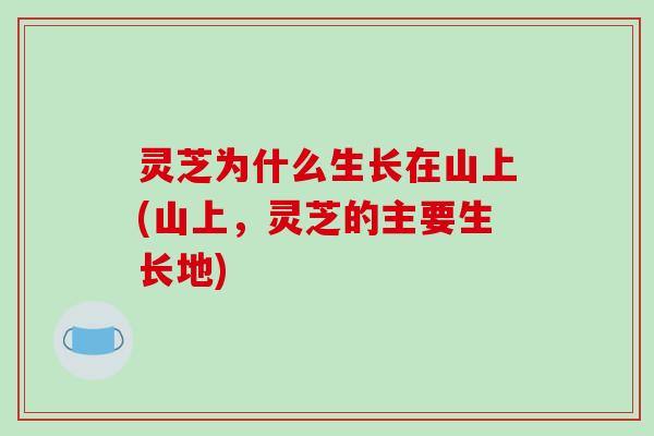 灵芝为什么生长在山上(山上，灵芝的主要生长地)