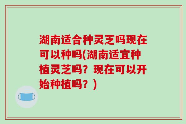 湖南适合种灵芝吗现在可以种吗(湖南适宜种植灵芝吗?现在可以开始种植吗?) 湖南适合种灵芝吗现在可以种吗(湖南适宜种植灵芝吗?现在可以开始种植吗?)