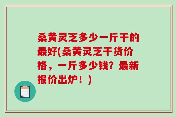 桑黄灵芝多少一斤干的好(桑黄灵芝干货价格,一斤多少钱?新报价出炉!) 桑黄灵芝多少一斤干的好(桑黄灵芝干货价格,一斤多少钱?新报价出炉!)