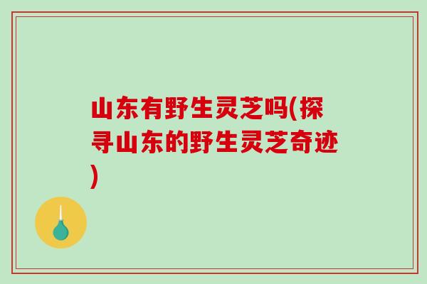 山东有野生灵芝吗(探寻山东的野生灵芝奇迹) 山东有野生灵芝吗(探寻山东的野生灵芝奇迹)