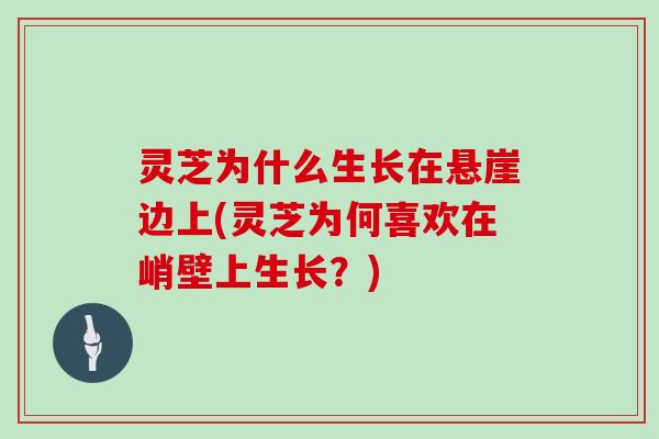 灵芝为什么生长在悬崖边上(灵芝为何喜欢在峭壁上生长？)