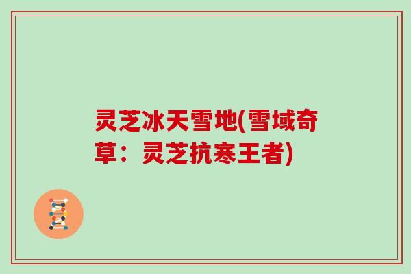 灵芝冰天雪地(雪域奇草：灵芝抗寒王者)