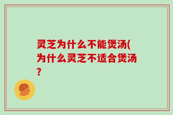 灵芝为什么不能煲汤(为什么灵芝不适合煲汤？
