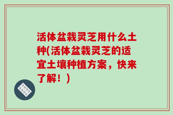 活体盆栽灵芝用什么土种(活体盆栽灵芝的适宜土壤种植方案,快来了解!) 活体盆栽灵芝用什么土种(活体盆栽灵芝的适宜土壤种植方案,快来了解!)