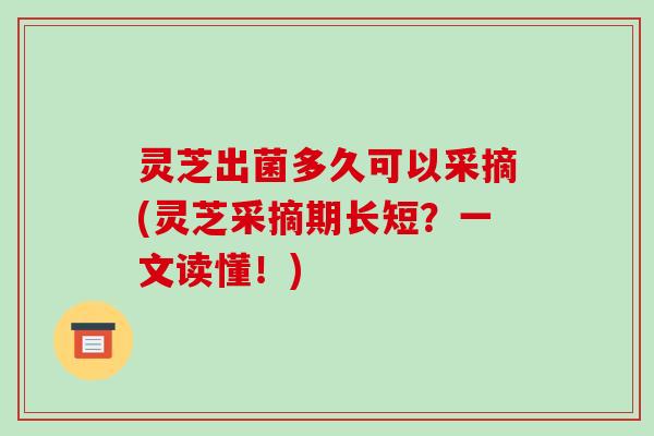 灵芝出菌多久可以采摘(灵芝采摘期长短？一文读懂！)