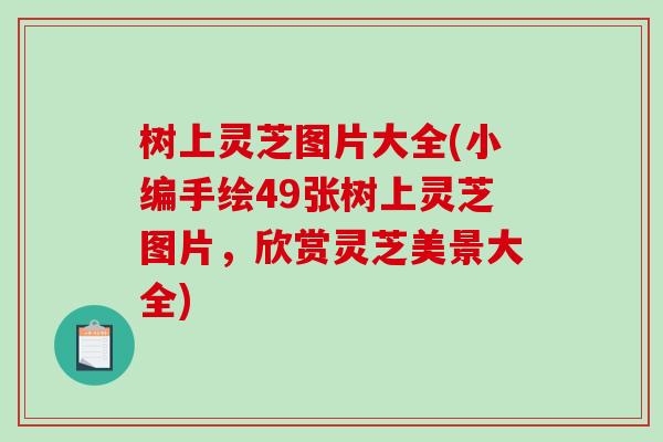 树上灵芝图片大全(小编手绘49张树上灵芝图片,欣赏灵芝美景大全) 树上灵芝图片大全(小编手绘49张树上灵芝图片,欣赏灵芝美景大全)
