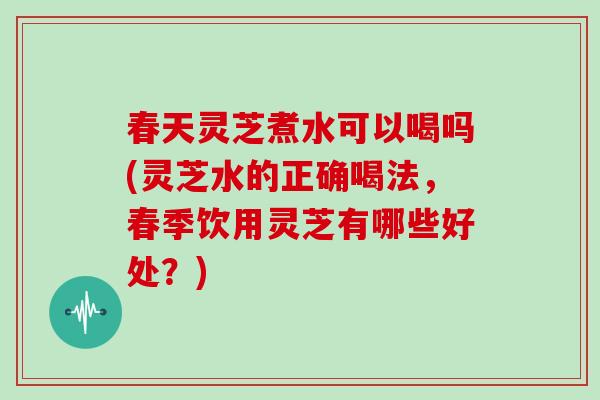 春天灵芝煮水可以喝吗(灵芝水的正确喝法，春季饮用灵芝有哪些好处？)