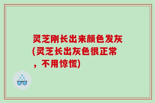 灵芝刚长出来颜色发灰(灵芝长出灰色很正常,不用惊慌) 灵芝刚长出来颜色发灰(灵芝长出灰色很正常,不用惊慌)