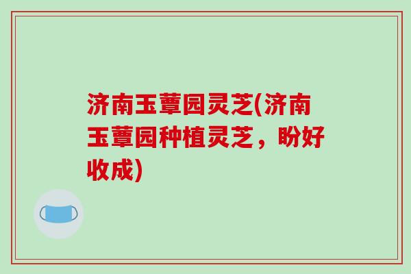济南玉蕈园灵芝(济南玉蕈园种植灵芝,盼好收成) 济南玉蕈园灵芝(济南玉蕈园种植灵芝,盼好收成)